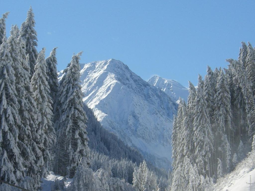 Haus Binder Apartment Neustift im Stubaital Ruang foto